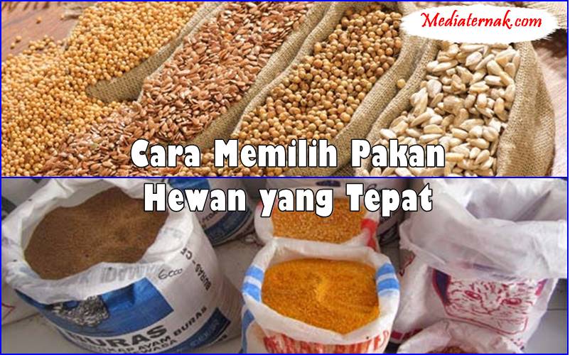 Cara Memilih Pakan Hewan yang Tepat