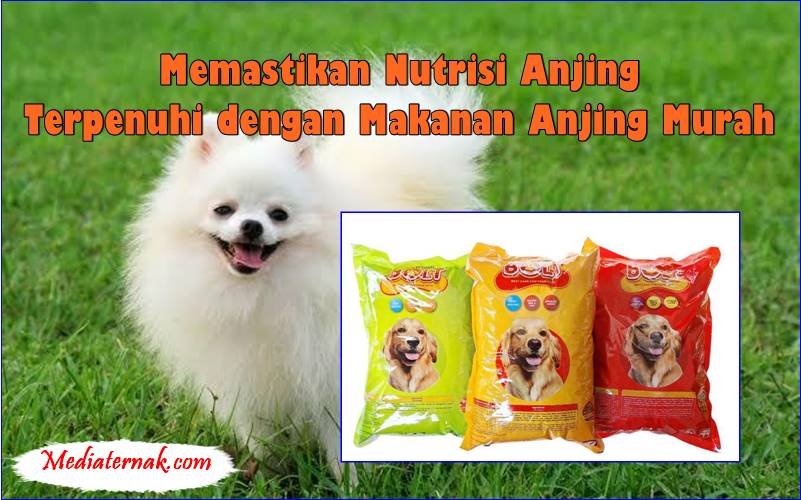 Memastikan Nutrisi Anjing Terpenuhi dengan Makanan Anjing Murah yang Tepat