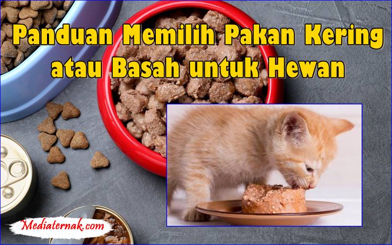 Panduan Memilih Pakan Kering atau Basah untuk Hewan