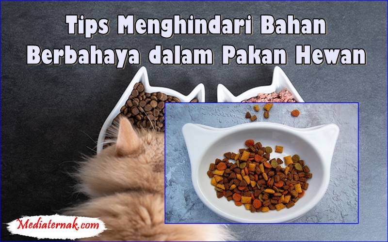 Tips Menghindari Bahan Berbahaya dalam Pakan Hewan, Layak Diperhatikan