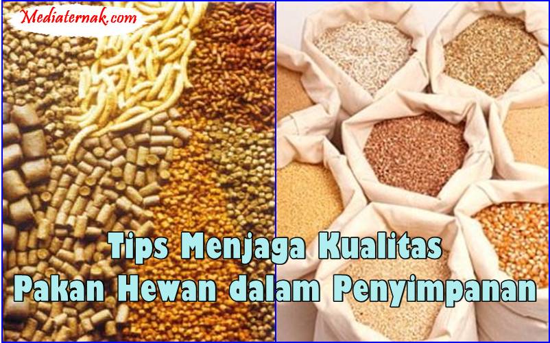 Tips Menjaga Kualitas Pakan Hewan dalam Penyimpanan