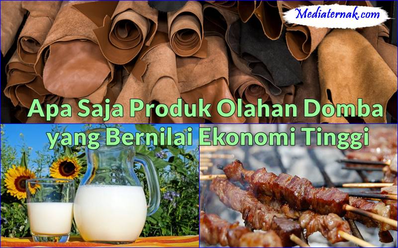 Apa Saja Produk Olahan Domba yang Bernilai Ekonomi Tinggi