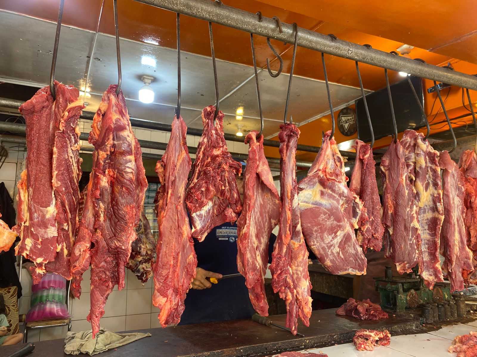 Cara Meningkatkan Kualitas Daging Sapi Potong dengan Manajemen Tepat