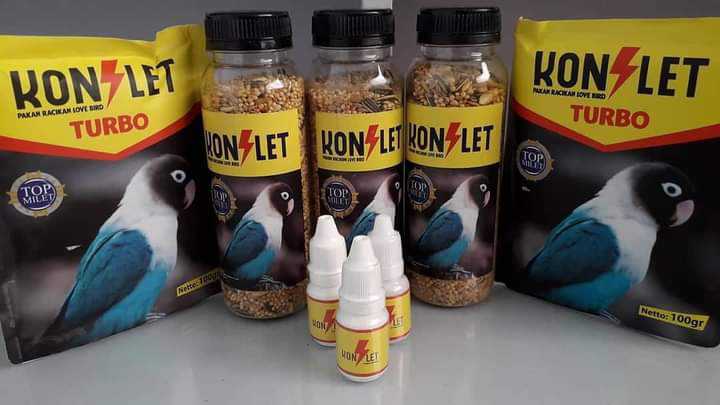 Manfaat Memberikan Vitamin untuk Burung Lovebird Kesayangan