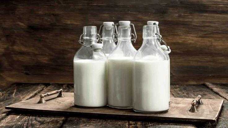 Manfaat Susu dan Daging Kerbau bagi Kesehatan Manusia