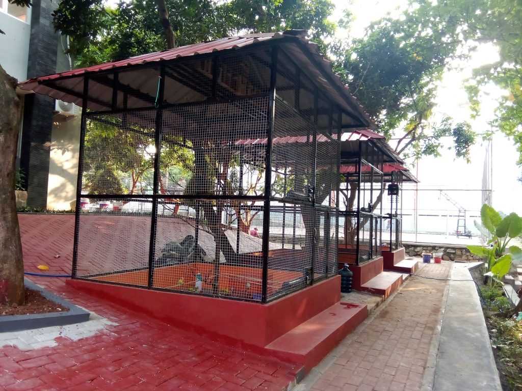 Panduan Lengkap Membuat Kandang Burung Lovebird yang Ideal