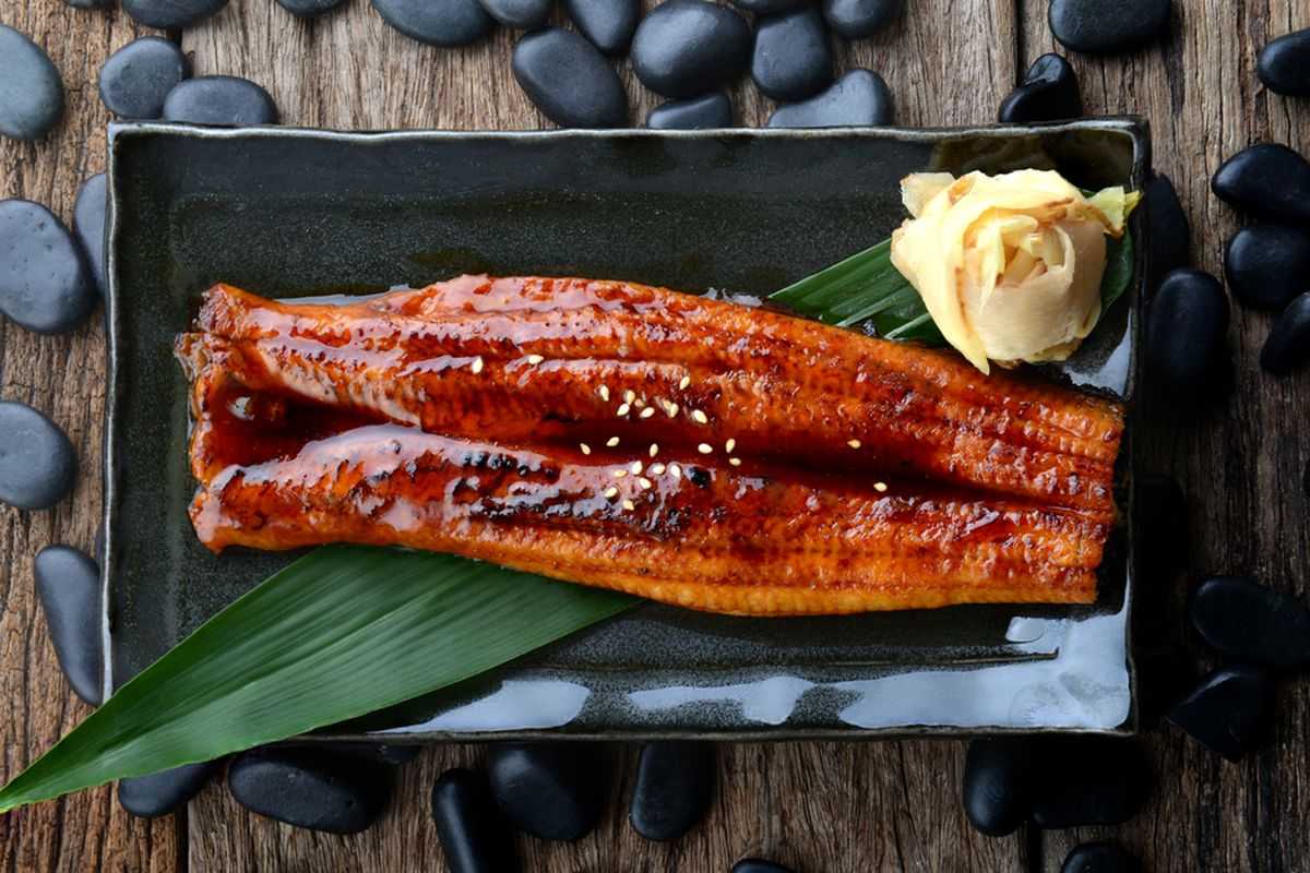 Cara Mengolah Sidat menjadi Makanan Lezat dan Bergizi