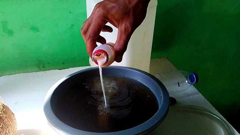 Manfaat Probiotik dalam Pakan Itik Petelur untuk Kesehatan Pencernaan