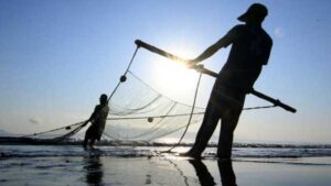 Tips dan Trik Menangkap Sidat dengan Jaring Tradisional