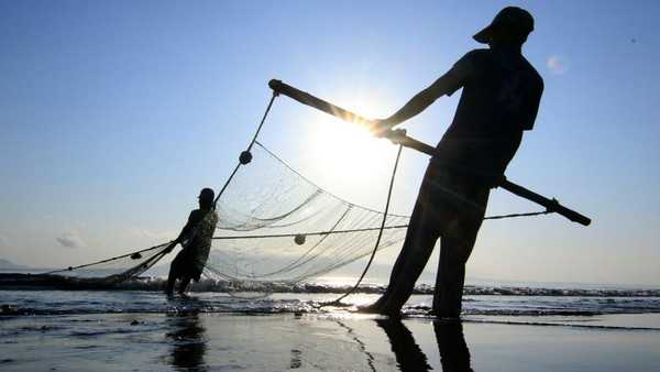 Tips dan Trik Menangkap Sidat dengan Jaring Tradisional