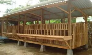 Tips Perawatan Kandang Kambing Kacang Agar Tetap Bersih Nyaman