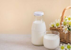 Strategi Meningkatkan Produktivitas Susu Kambing Etawa Modern
