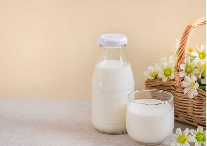 Strategi Meningkatkan Produktivitas Susu Kambing Etawa Modern