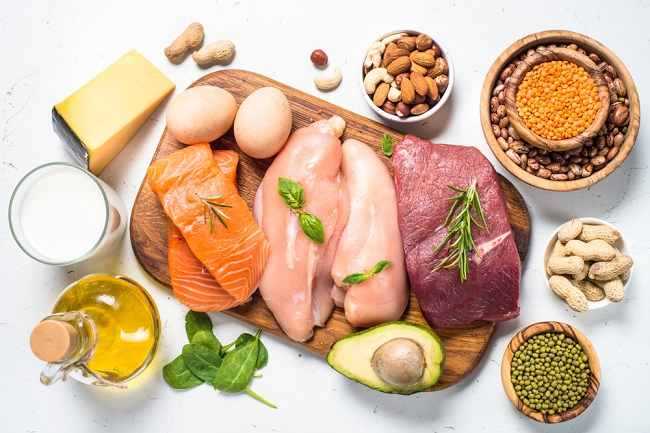 Jenis Pakan Bernutrisi Tinggi bagi Cucak Jenggot Kesayangan