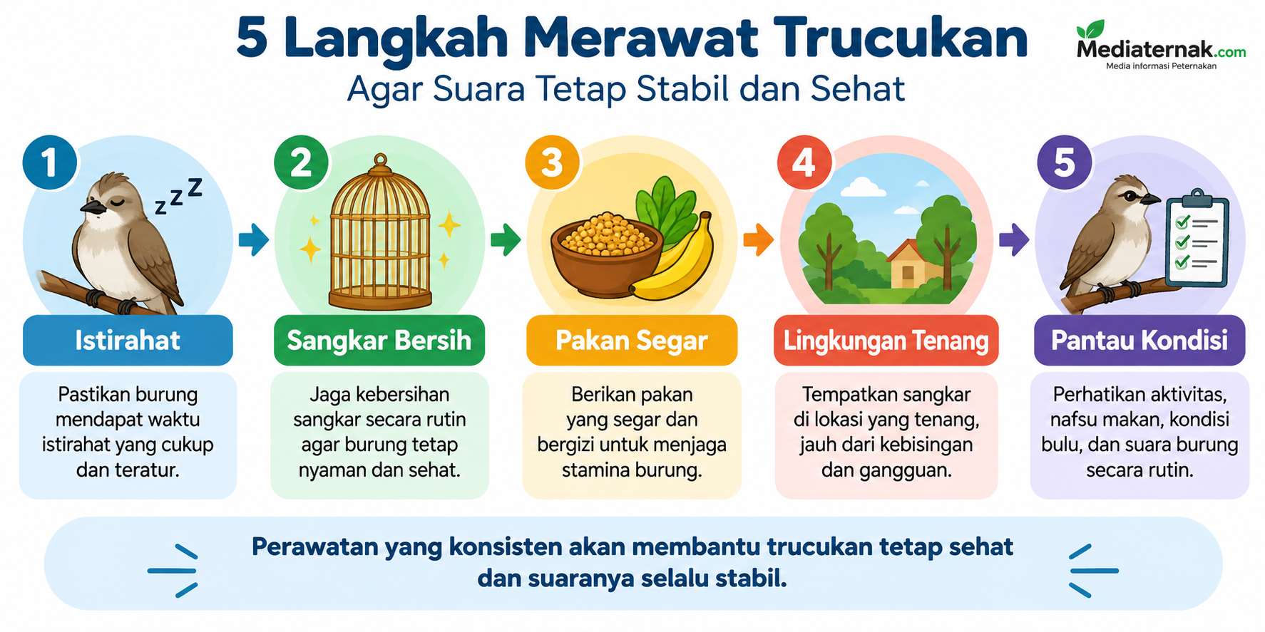 Amati Perubahan Suara Secara Bertahap