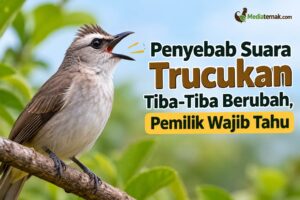 Penyebab Suara Trucukan Tiba-Tiba Berubah, Pemilik Wajib Tahu