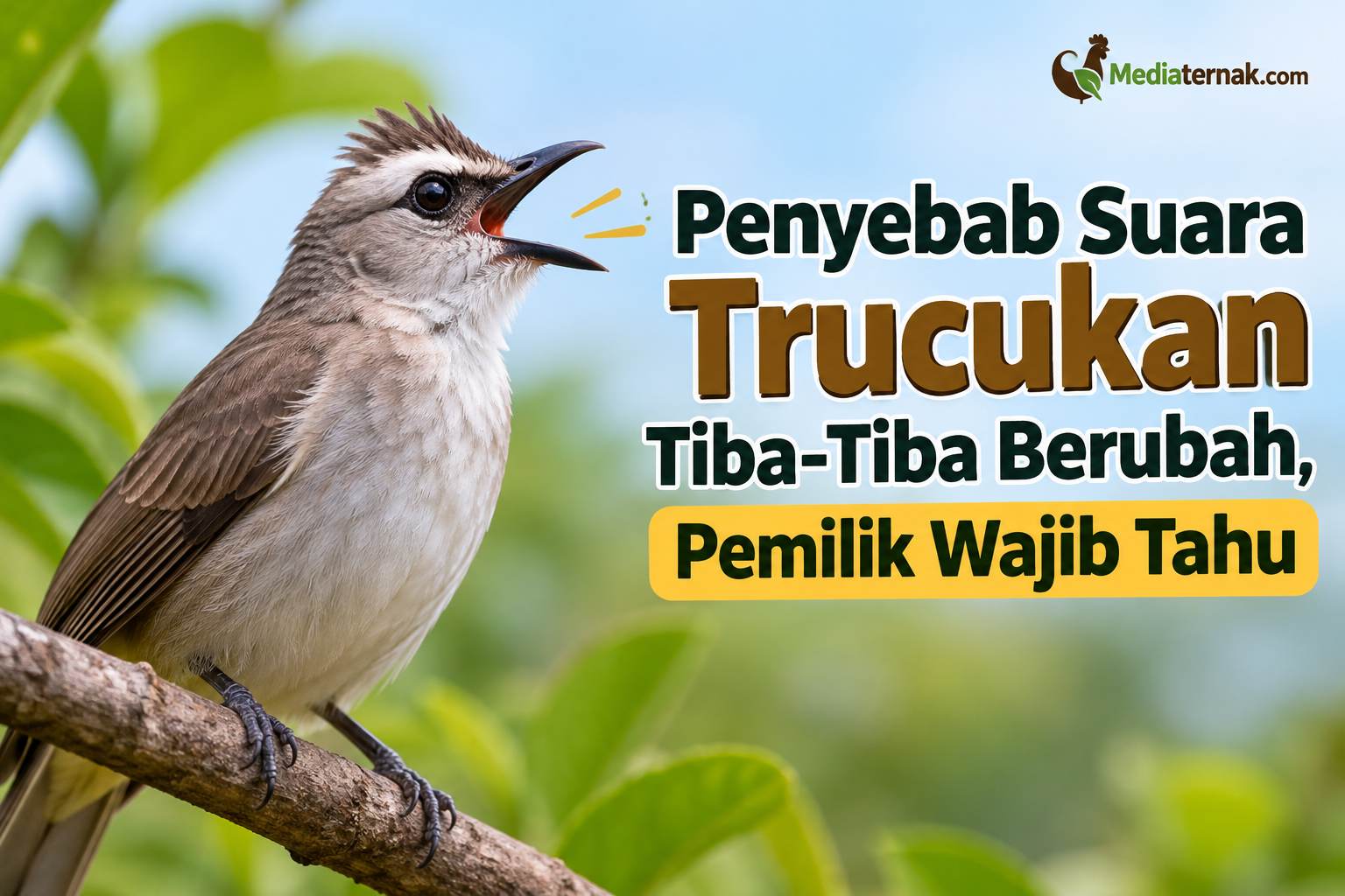 Penyebab Suara Trucukan Tiba-Tiba Berubah, Pemilik Wajib Tahu